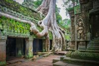 Ta Prohm