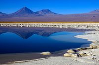 Cejar lagune, Atacama