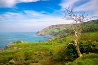 Murlough Bay