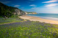 Bluebells Whitepark Bay Beach