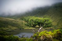 Lagoa do Pa&uacute;l