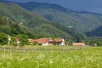 Sloveens dorpje