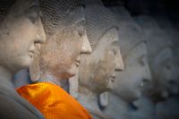Boeddha&#039;s in Ayutthaya