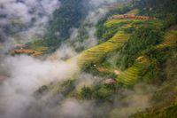 Optrekkende mist in Hoang Su Phii